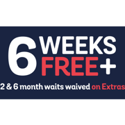 6 weeks free icon